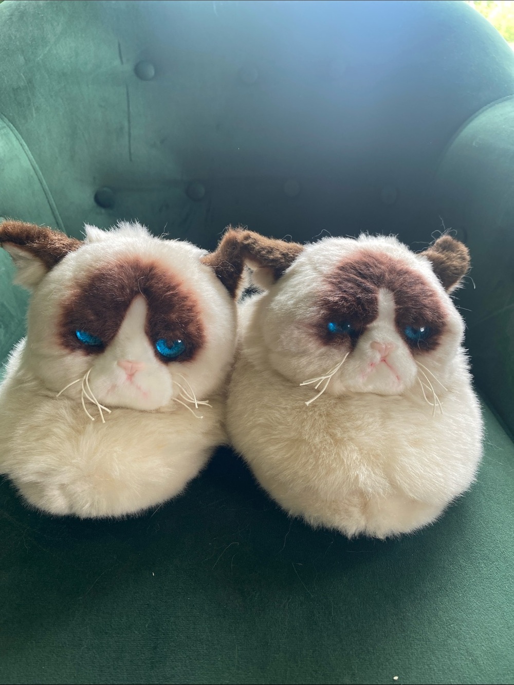 Grumpy Cat Plush Slippers - Cream with Brown Face and Blue Eyes